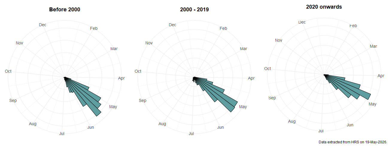 Phenology plots for Platycheirus tarsalis