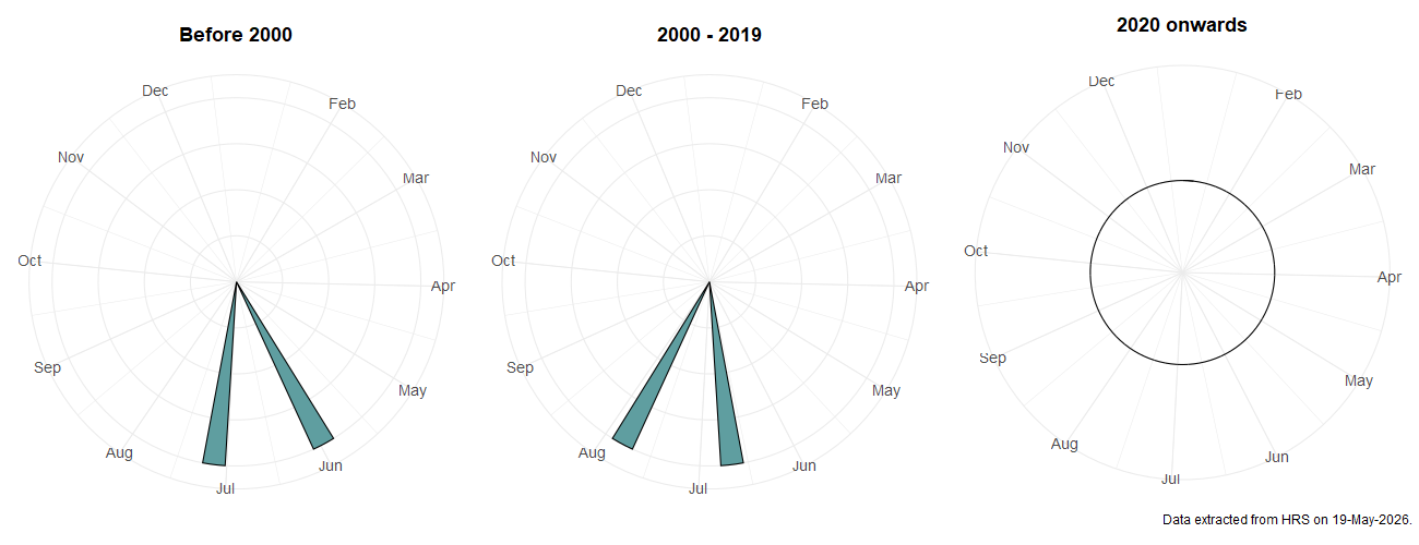 Phenology plots for Sphaerophoria bankowskae