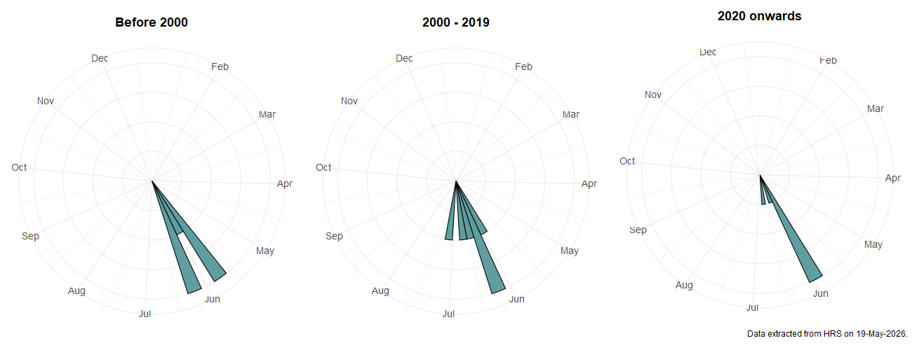 Phenology plots for Sphaerophoria potentillae