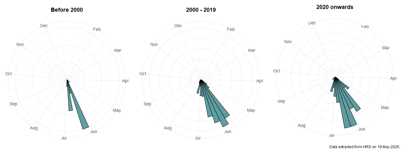 Phenology plots for Sphegina sibirica