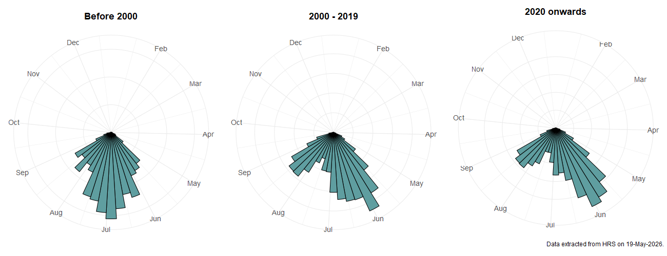 Phenology plots for Xanthogramma pedissequum