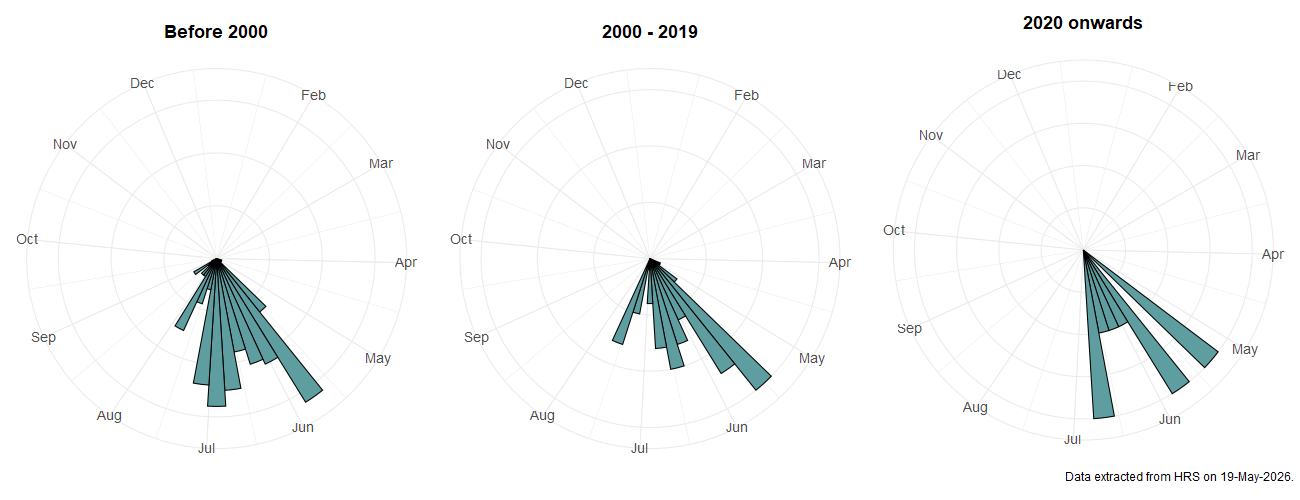 Phenology plots for Xylota abiens
