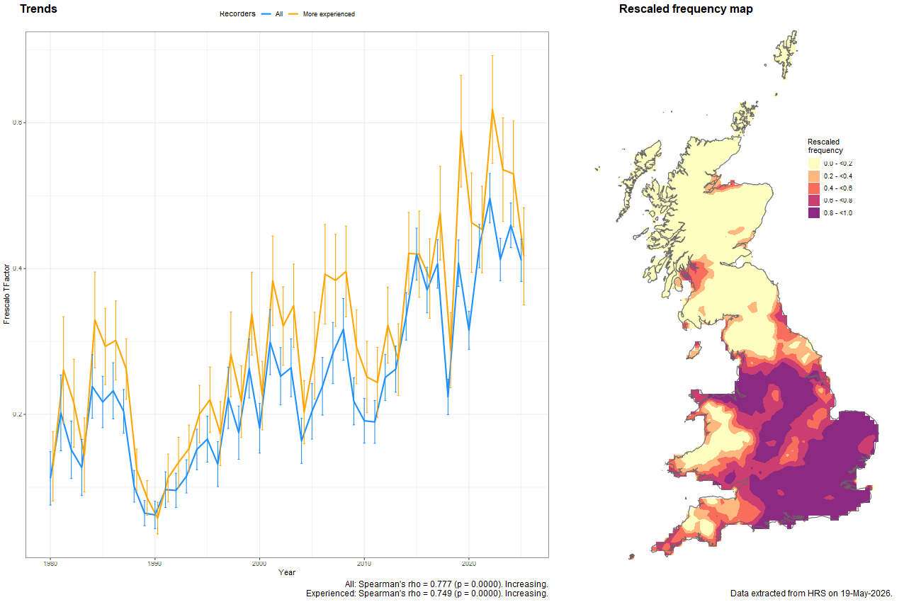 Trend plots for Chrysotoxum festivum