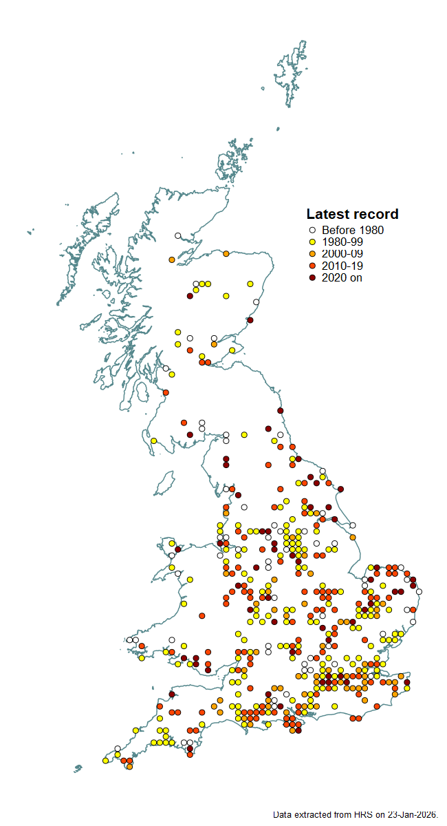 Distribution map for Cheilosia lasiopa