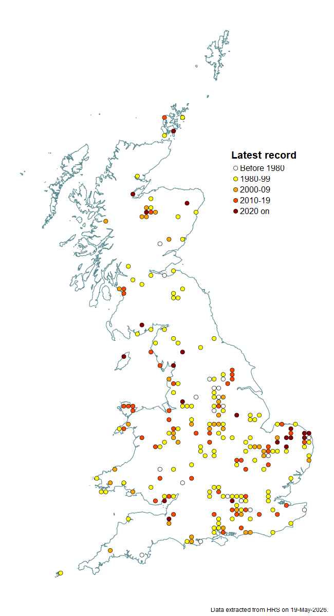 Distribution map for Neoascia geniculata