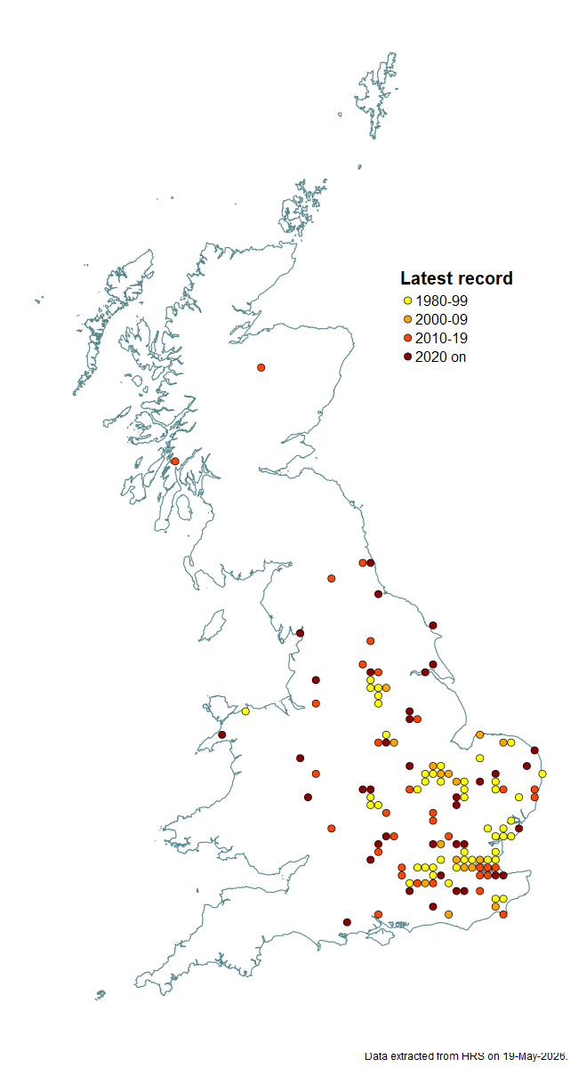 Distribution map for Neoascia interrupta