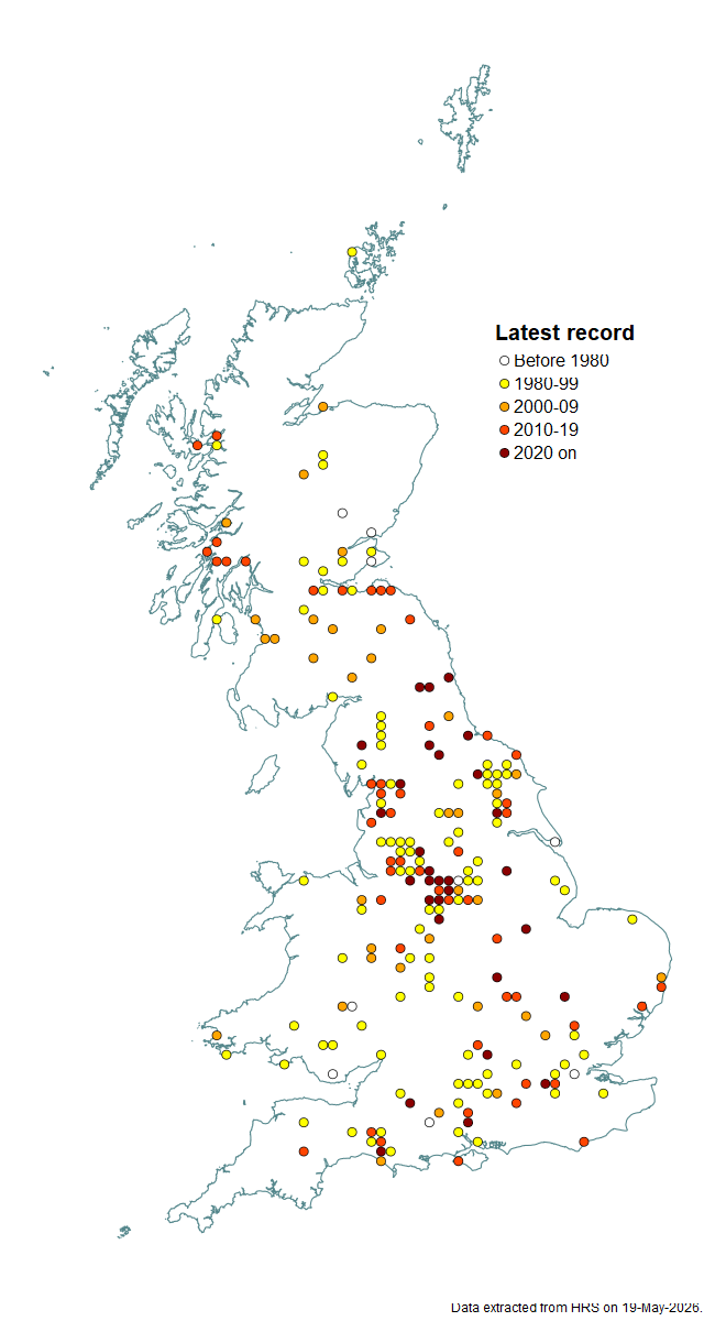 Distribution map for Neoascia obliqua