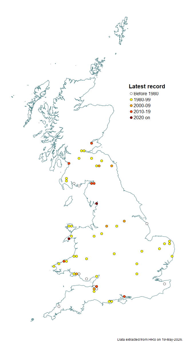 Distribution map for Parhelophilus consimilis