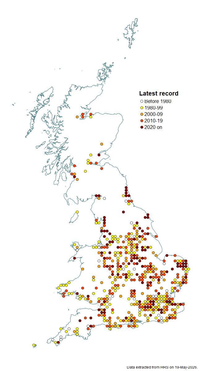 Distribution map for Parhelophilus versicolor