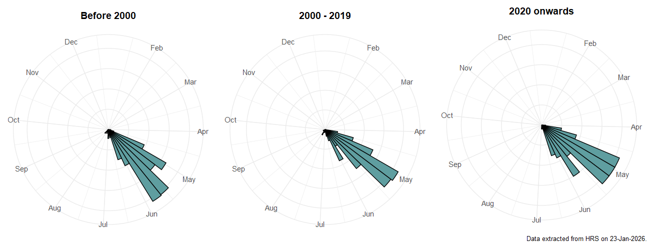 Phenology plots for Cheilosia lasiopa