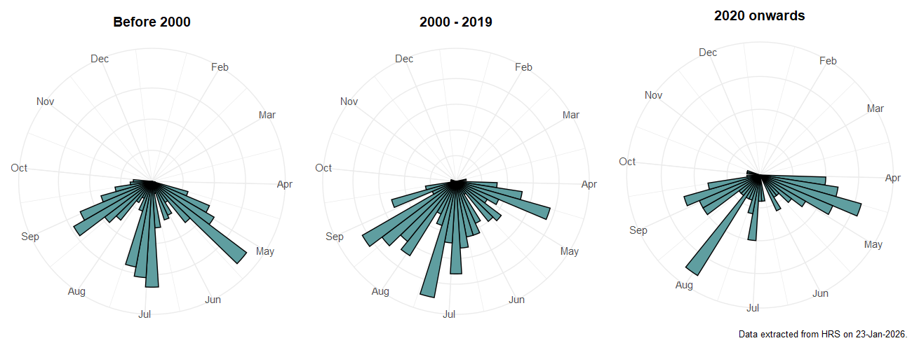 Phenology plots for Cheilosia latifrons
