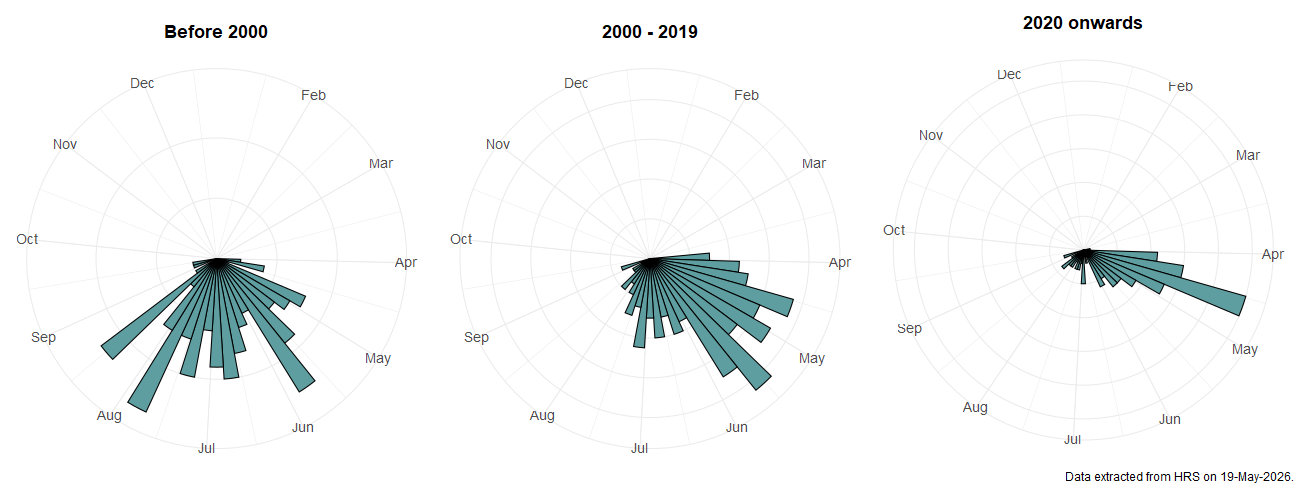 Phenology plots for Neoascia interrupta
