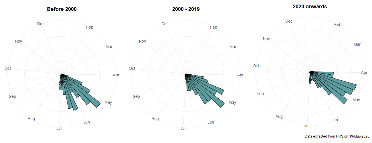 Phenology plots for Neoascia meticulosa