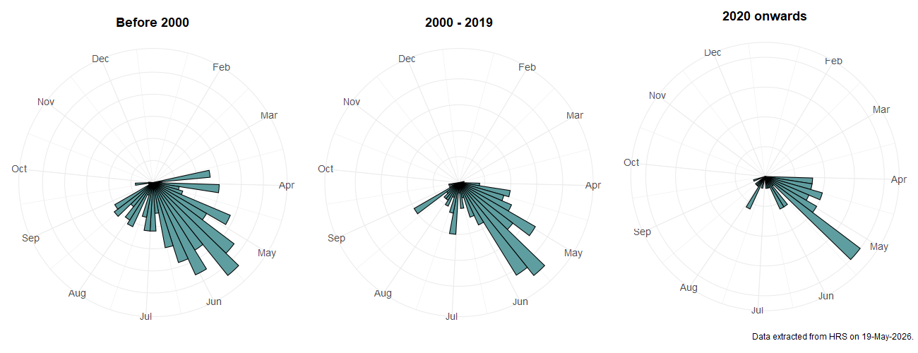 Phenology plots for Neoascia obliqua