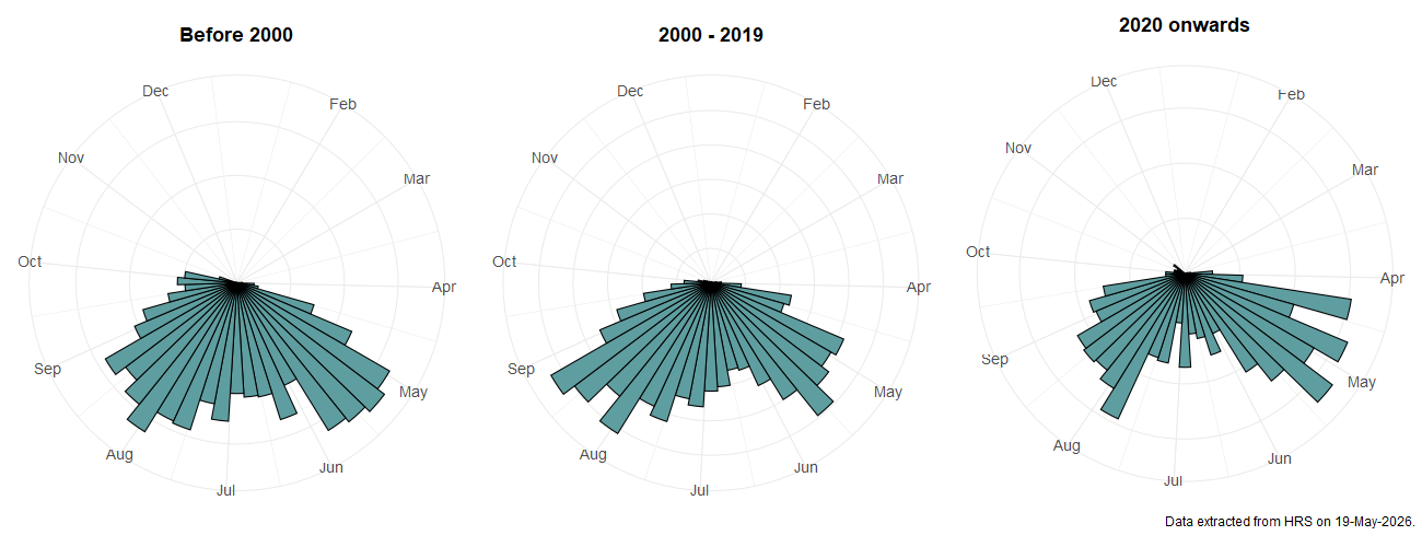 Phenology plots for Neoascia podagrica